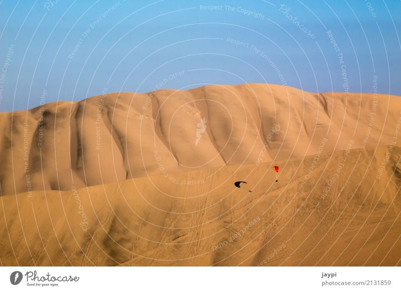 desert flight Paraglider Paragliding Adventure Freedom Desert Environment Landscape Sand Cloudless sky Beautiful weather Dune Aircraft Flying To dry up Dry