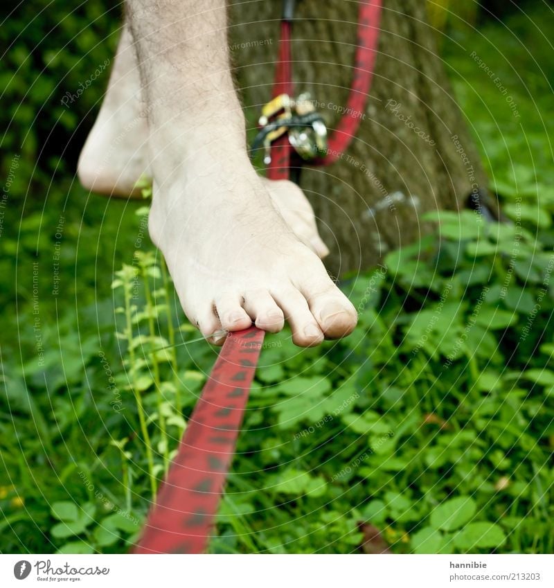 balance Leisure and hobbies Summer Sports Human being Young man Youth (Young adults) Feet 1 Stand Unwavering Wirewalker Hair Toes Red Green Tense Rope Barefoot