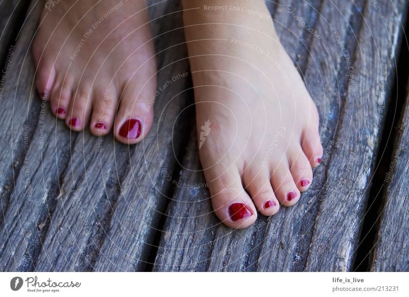 barefoot - freedom for the feet! Elegant Style Beautiful Pedicure Nail polish Life Well-being Freedom Summer Feminine Woman Adults Skin Feet Toes Toenail