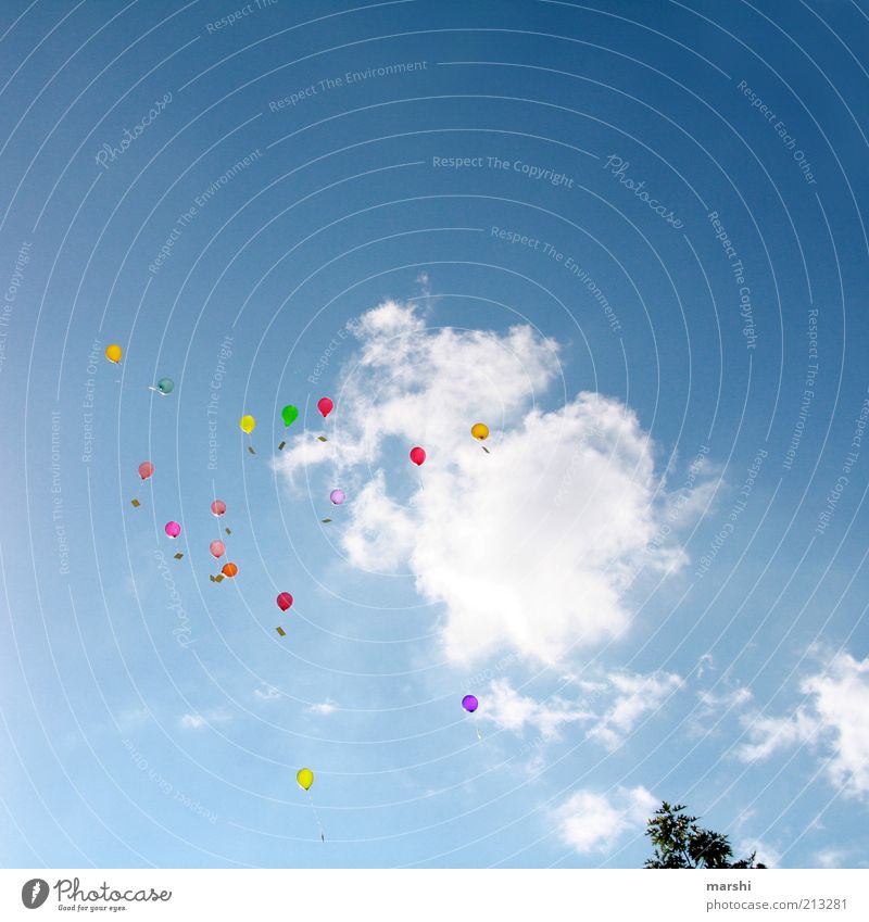 Dreams & Wishes Feasts & Celebrations Blue Multicoloured Balloon Clouds Sky Far-off places Desire Congratulations Tall Flying Floating Occasion Colour photo