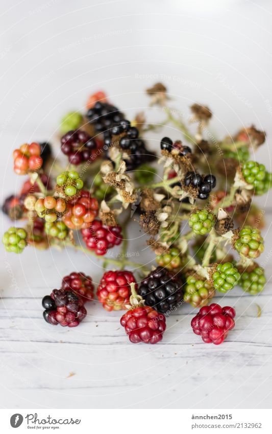 blackberries Nature Fruit Blackberry Red Green Mature Healthy Eating Dish Food photograph Interior shot Detail Close-up Accumulate