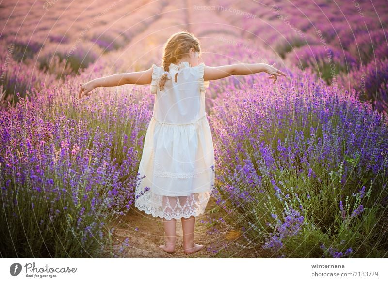 That freedom Child Girl Hair and hairstyles 1 Human being 3 - 8 years Infancy Environment Nature Earth Sunlight Summer Beautiful weather Field Dress Blonde