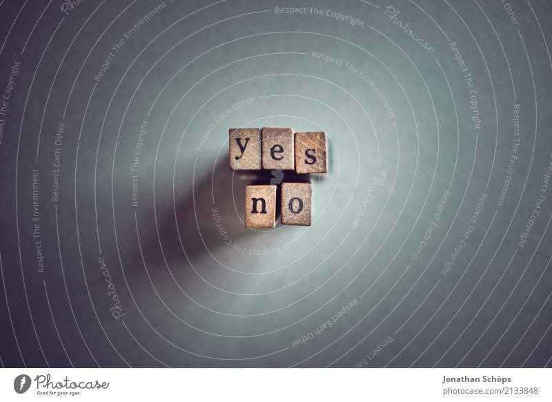 yes no Resolve Text Select Elections Decide Indecisive Typography Characters Wood Stamp Parties Important Definite Parliament Government Democracy Democratic