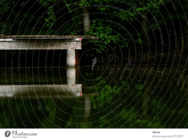 DARK Environment Nature Landscape Water Lakeside Pond Footbridge Wood Dark Sharp-edged Moody Mysterious Calm Section of image Water reflection Surface of water