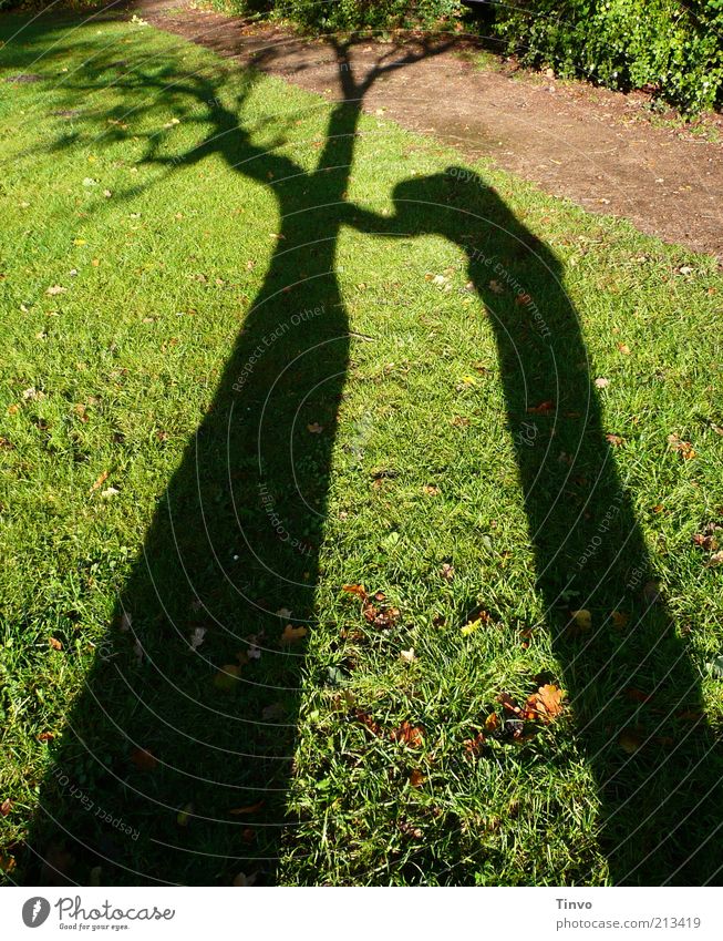 Shadow of a person leaning on a tree Nature Tree Meadow Dark Brown Green Black Apocalyptic sentiment Grief Sadness Transience Distress Lanes & trails