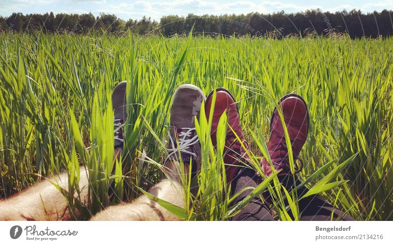 Pause in the field Life Harmonious Well-being Contentment Senses Relaxation Calm Meditation Leisure and hobbies Summer Summer vacation Sun Hiking Human being