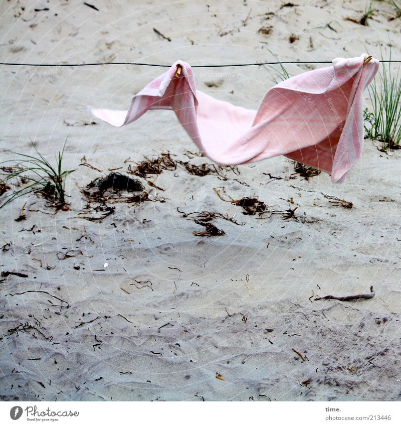 drapery Beach Sand Wind Grass Pink Towel Wire Hang up Judder Dry Blow Forget Clothes peg Exterior shot Beach dune Marram grass Suspended Deserted Day