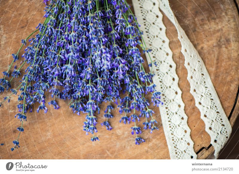 Gift from Nature Health care Lavender Authentic Simple Fresh Healthy Good Uniqueness Natural Hope Purple Beige Brown Colour photo Interior shot Studio shot