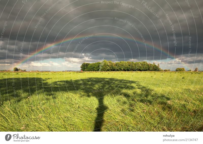 rainbow and tree shadow on green meadow Nature Landscape Sky Clouds Summer Weather Beautiful weather Storm Rain Tree Grass Meadow Field Green Rainbow colorful