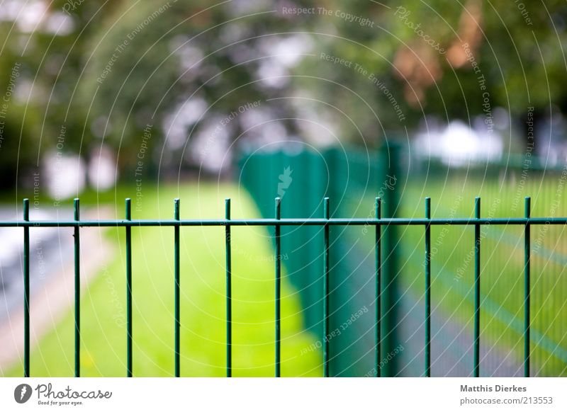 fence Fence Fence post Vanishing point Nature Barrier Grating Iron Massive Colour photo Exterior shot Deserted Copy Space top Green Blur Meadow Tree