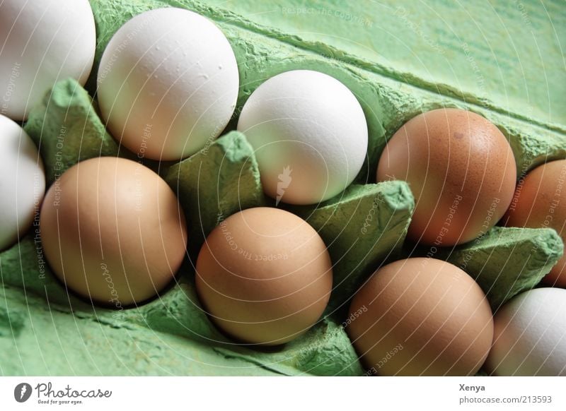 Ei, ei, ei Food Brown Green White Egg Eggs cardboard Retail sector Arrange Multiple Many Deserted Side by side Eggshell organic eggs Day Colour photo