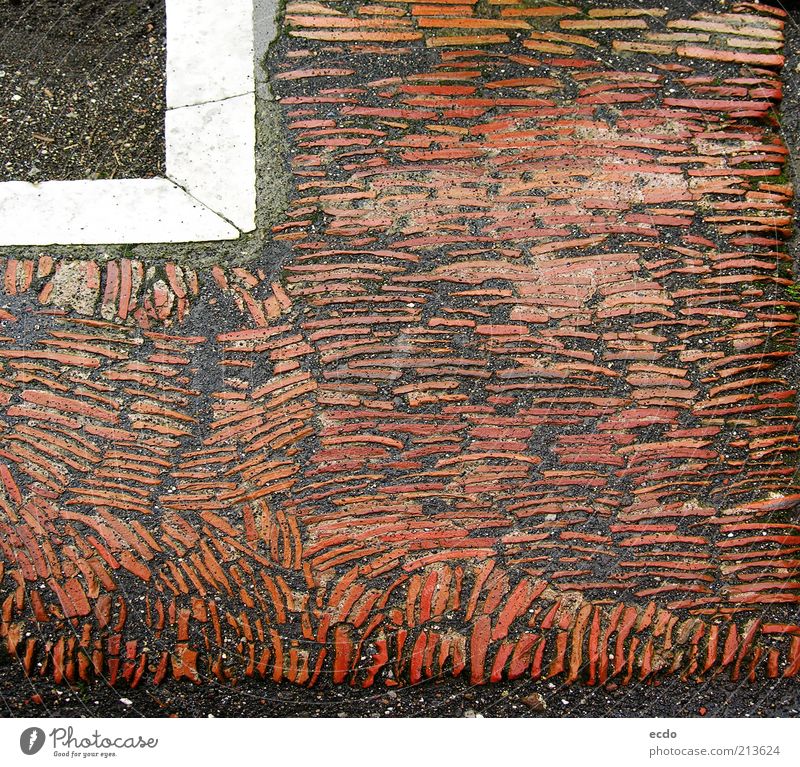 Pompeiitiles Ruin Landmark Historic Cold Wet Gray Red White Sustainability Destruction Tile craftsmanship Story Corner Colour photo Subdued colour Exterior shot