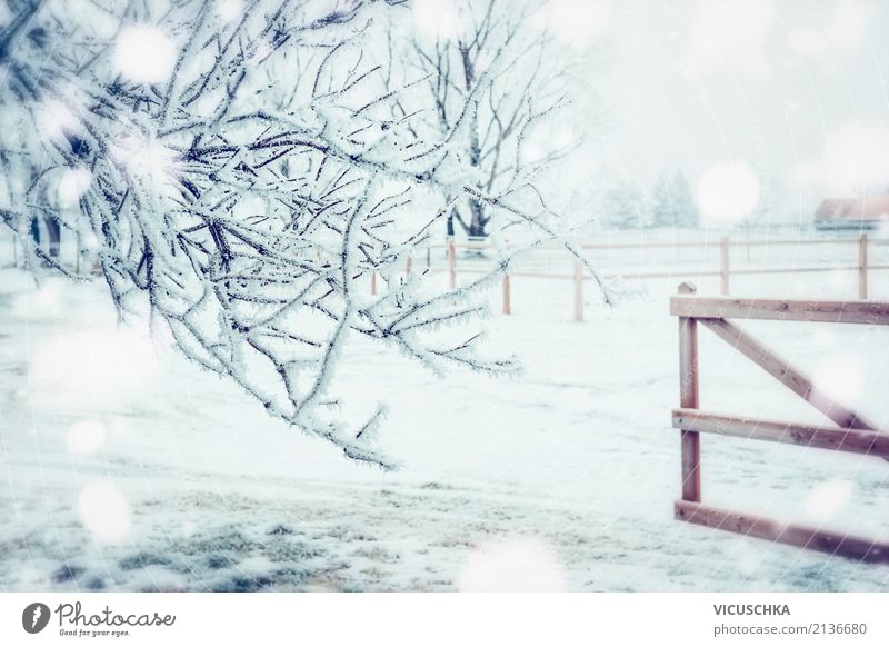 Winter landscape with frozen trees, snow and wooden fence Lifestyle Garden Christmas & Advent Nature Beautiful weather Park Frost Winter mood Snow Fence Village