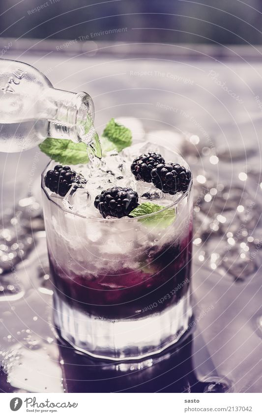 Blackberry Mocktail Beverage Cold drink mocktail Bottle Glass Anticipation Mint leaf Ice Pour non-alcoholic Summer Closing time Fruity tonic Healthy Balance
