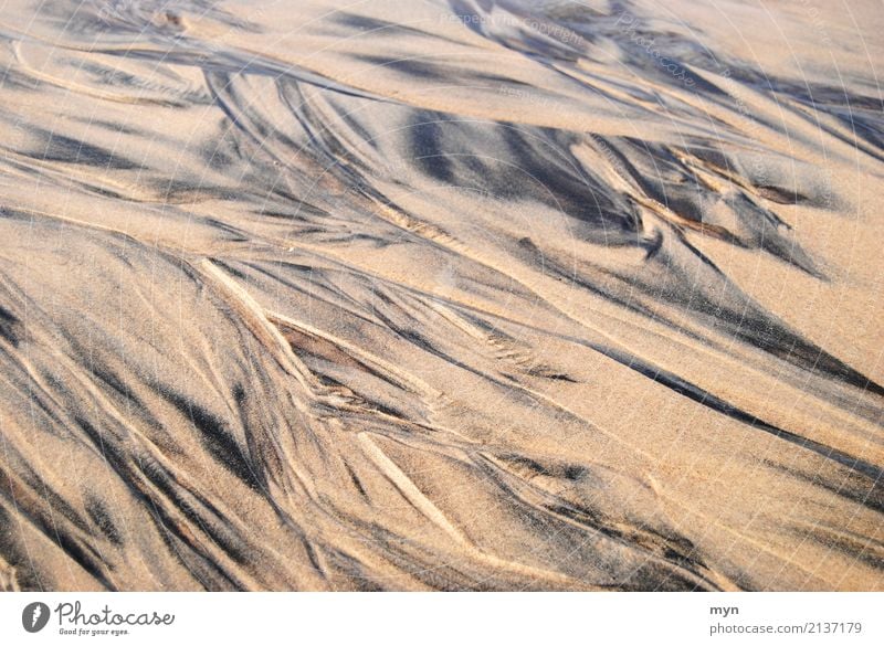 Patterns in the sand Vacation & Travel Tourism Adventure Far-off places Summer Summer vacation Sunbathing Beach Ocean Environment Nature Landscape Elements
