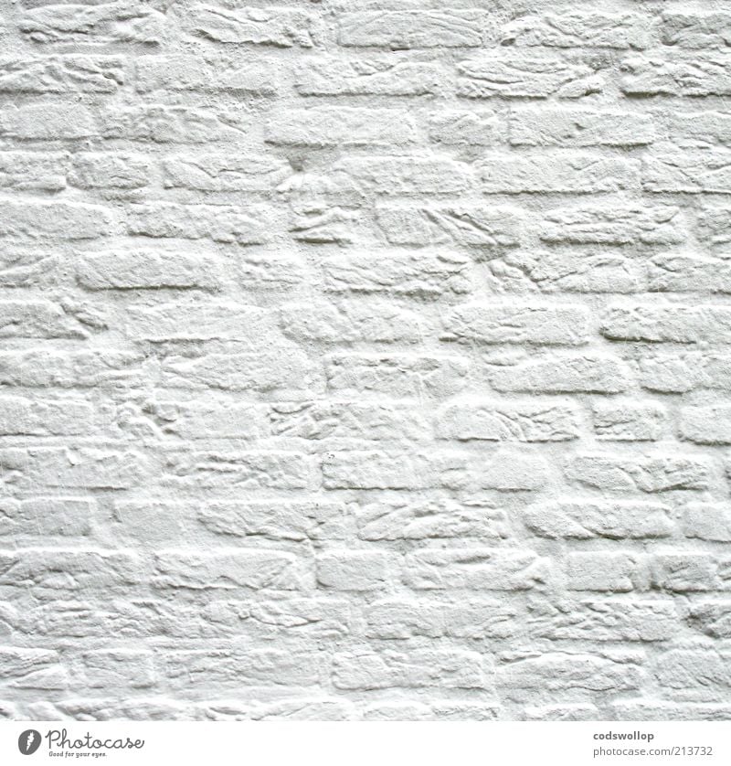 x, y and z = 0.333 Wall (barrier) Wall (building) Brick Clean White Calm Cleanliness Purity Renovated Painted Minimalistic Innocent Neutral Colour photo