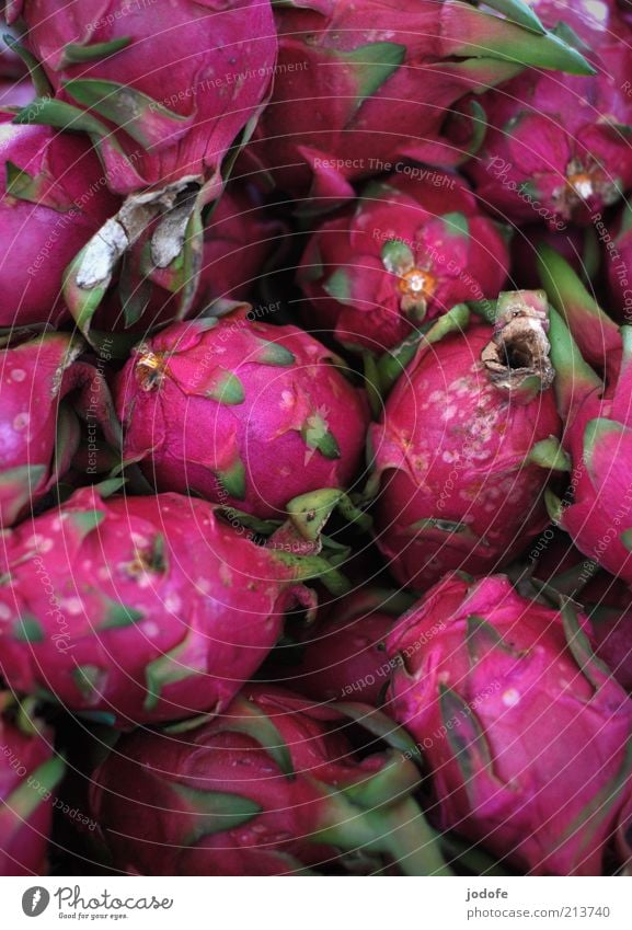Pitahaya Food Fruit Exotic Violet Pink Dragonfruit Many Multiple Multicoloured Gaudy Colour photo Exterior shot Deserted Day Light Shadow Shallow depth of field