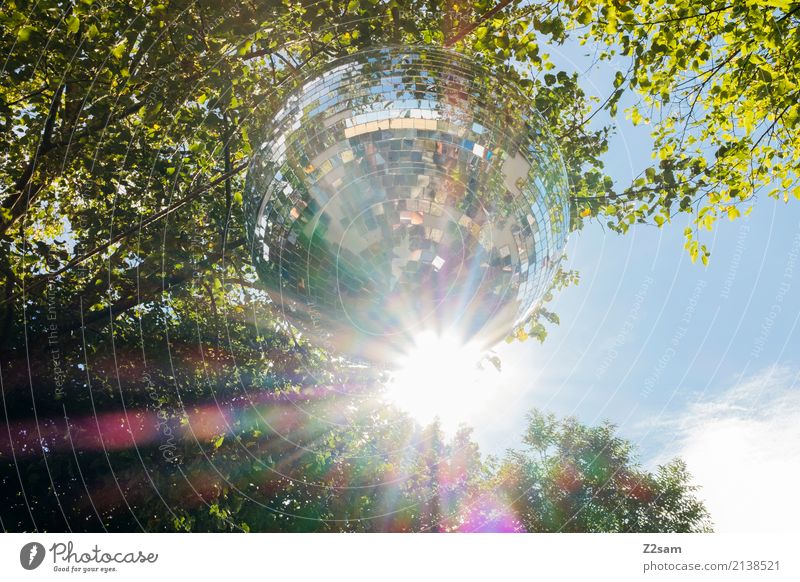 Disco baby! Nature Landscape Sky Summer Beautiful weather Tree Glittering Hip & trendy Natural Green Warm-heartedness Design Colour Idyll Inspiration Party