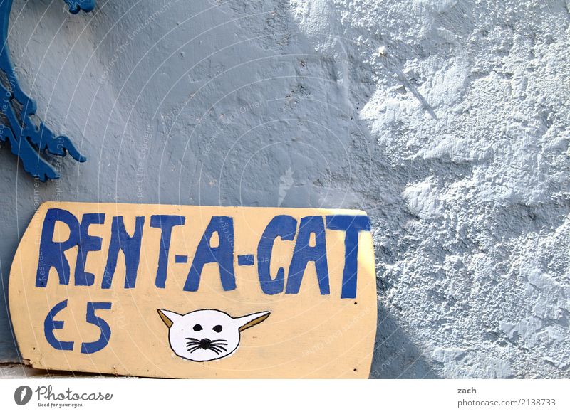 Cats always go Services Advertising Industry Santorini Oia Cyclades Greece Village Fishing village Old town Car Animal Sign Characters Digits and numbers