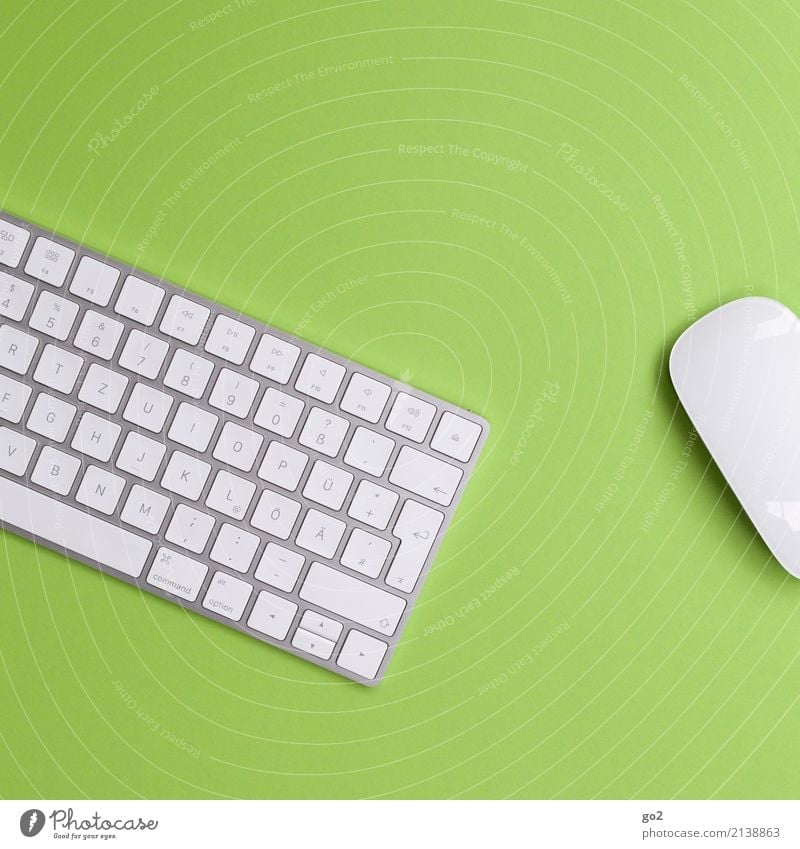 Keyboard and mouse on green background Work and employment Profession Office work Workplace Economy Media industry Advertising Industry Business Career Success