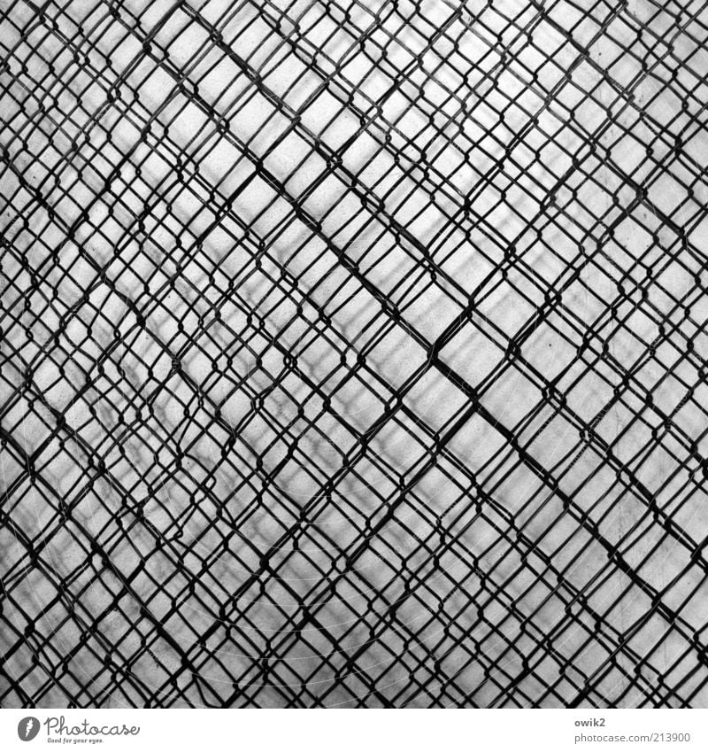 Steve Reich's garden fence Metal Esthetic Thin Sharp-edged Simple Gray Black White interference lap Infinity Serrated Muddled Wire netting Wire netting fence