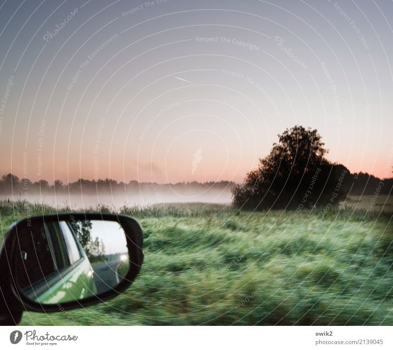 keep an overview Environment Nature Landscape Plant Air Water Cloudless sky Horizon Spring Fog Tree Grass Bushes Lakeside Transport Car Rear view mirror Glass