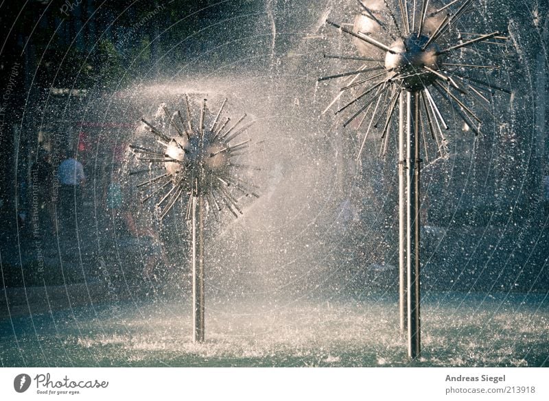 Dandelions for your birthday Water Drops of water Dresden Downtown Well Fresh Refreshment Prager Strasse Back-light water feature Inject Bubbling Colour photo