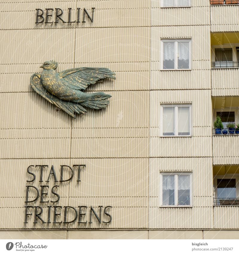 Berlin - City of Peace Germany Europe Capital city Nikolai Quarter Pigeon Dove of peace Brown Green Colour photo Exterior shot Day