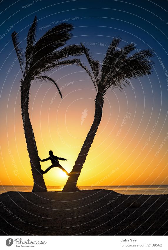 Silhouette - 2 palm trees and a man at sunrise Human being Child Man Shadow Palm tree Sun Sunrise Sunset Ocean Vacation & Travel Summer Mediterranean sea