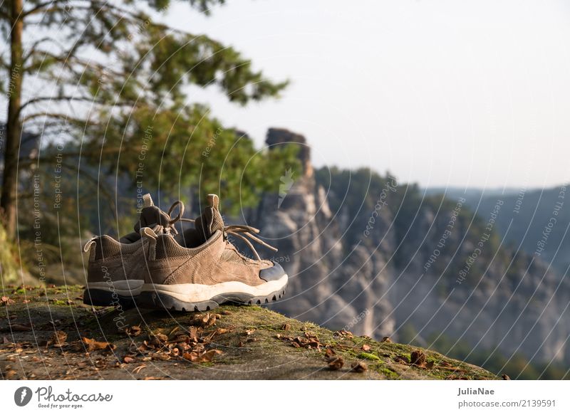 Hiking boots with view outlook Vantage point Tree Mountain Mountaineering Elbsandstone mountains Relaxation Elbsandstein region Rock Going Peak Autumn Landscape