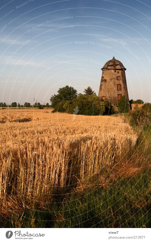 late summer Environment Nature Landscape Plant Sky Clouds Beautiful weather Agricultural crop Field Village Hut Industrial plant Ruin Facade Tourist Attraction