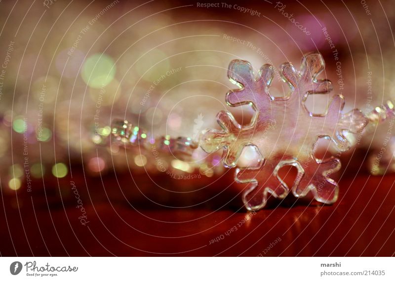 snowflake Decoration Glittering Red Christmas & Advent Winter Snowflake Blur Background picture Transparent Colour photo Shallow depth of field Copy Space left