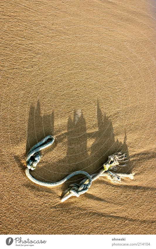 sandcastle Vacation & Travel Summer vacation Rope Beach Knot Sand Flotsam and jetsam Colour photo Shadow Sunlight Deserted Copy Space top Copy Space middle