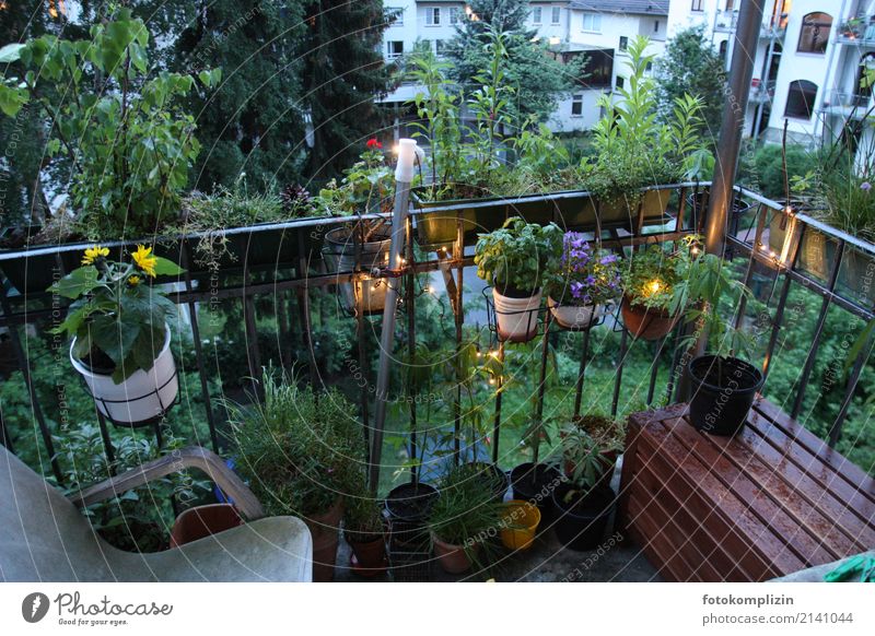 Balcony with green plants Balcony plant Balcony furnishings Living or residing Flowerpot Private sphere Balcony planting Bad weather Plant balcony flowers