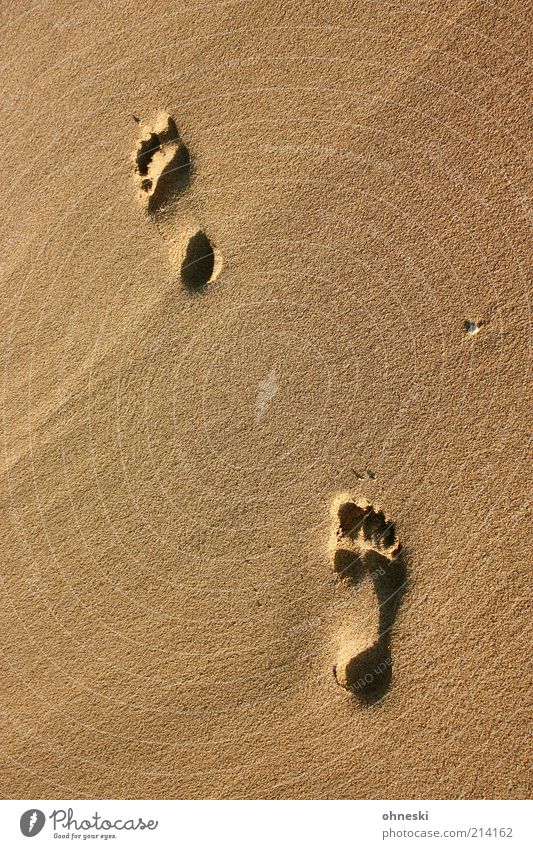 sand tracks Vacation & Travel Tourism Summer Summer vacation Beach Ocean Sand Warm-heartedness Peaceful Hope Belief Longing Homesickness Wanderlust Loneliness