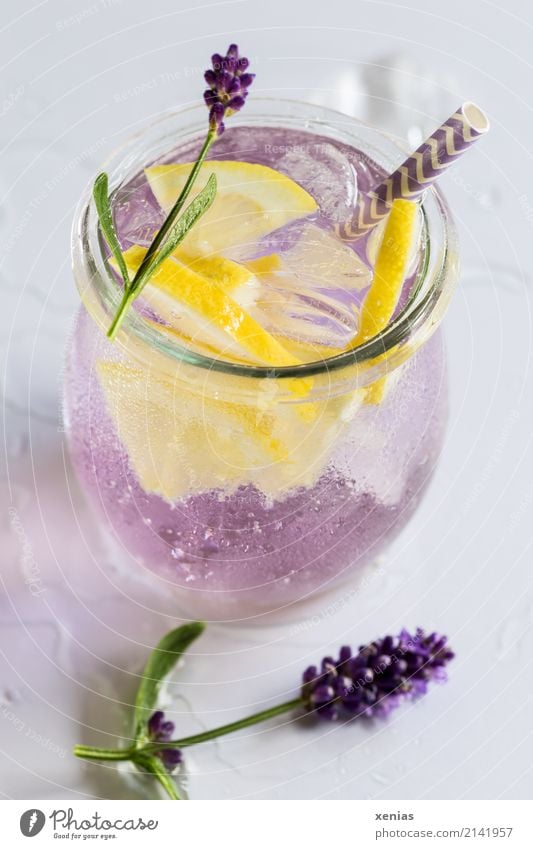 A glass of delicious, iced and healthy lavender water with lemon Fruit Herbs and spices Lemon Lavender Organic produce Vegetarian diet Diet Beverage Cold drink