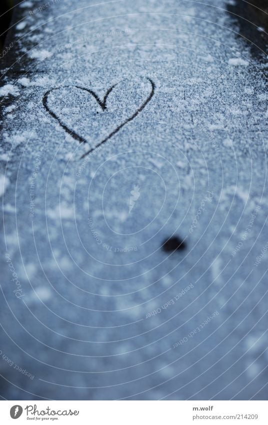 heartbeat Wood Sign Heart Emotions Moody Cold Love Exterior shot Deserted Copy Space bottom Morning Dawn Blur Snow Tracks Snowflake Heart-shaped 1 Frozen Ice