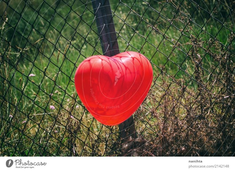 Red heart shaped balloon in a fence Valentine's Day Nature Plant Grass Balloon Fence Metal Heart Authentic Simple Happiness Healthy Beautiful Cute Green Black