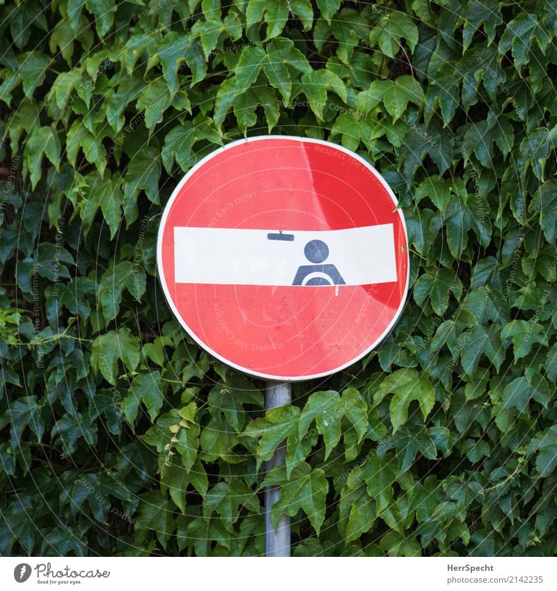 driverseate Plant Foliage plant Wall (barrier) Wall (building) Road sign Graffiti Funny Green Red Creeper One-way street Street art traffic sign art