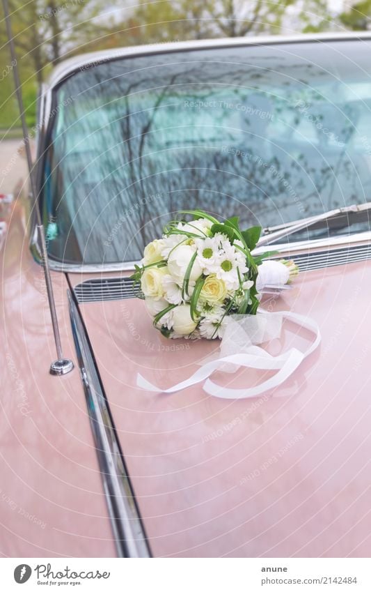 Wedding Cadillac Feasts & Celebrations Car Vintage car Bouquet Esthetic Exceptional Retro Trust Together Loyalty Romance Endurance Beginning Relationship