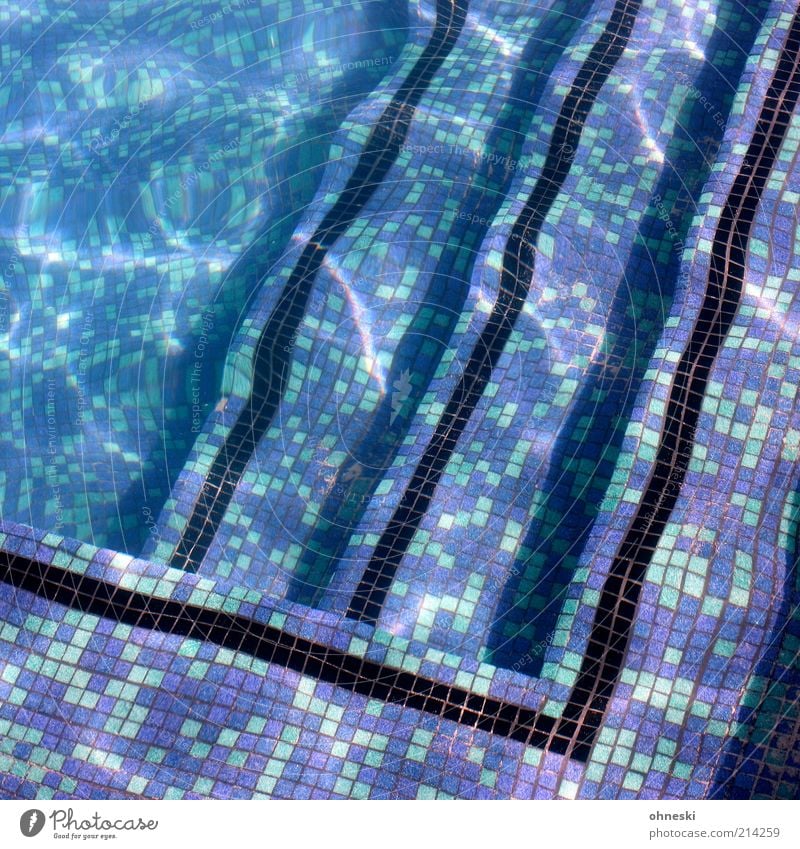 Baden geh´n Summer Summer vacation Sunbathing Water Fluid Blue Relaxation Vacation & Travel Open-air swimming pool Line Tile Grow hazy Exterior shot Pattern