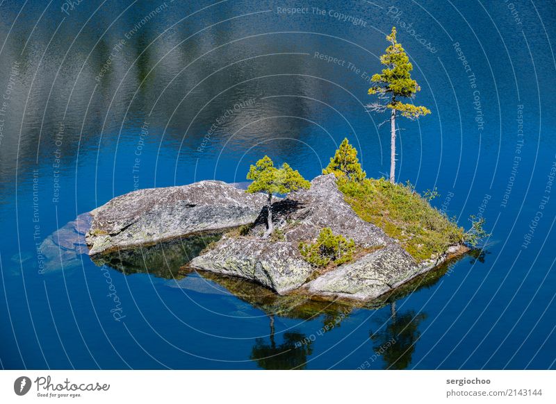 lonely island Nature Water Summer Rock Lake Uniqueness Beautiful Spruce Picturesque Adventure Attraction Blue Calm Ripple Coast Discover Elegant Esthetic