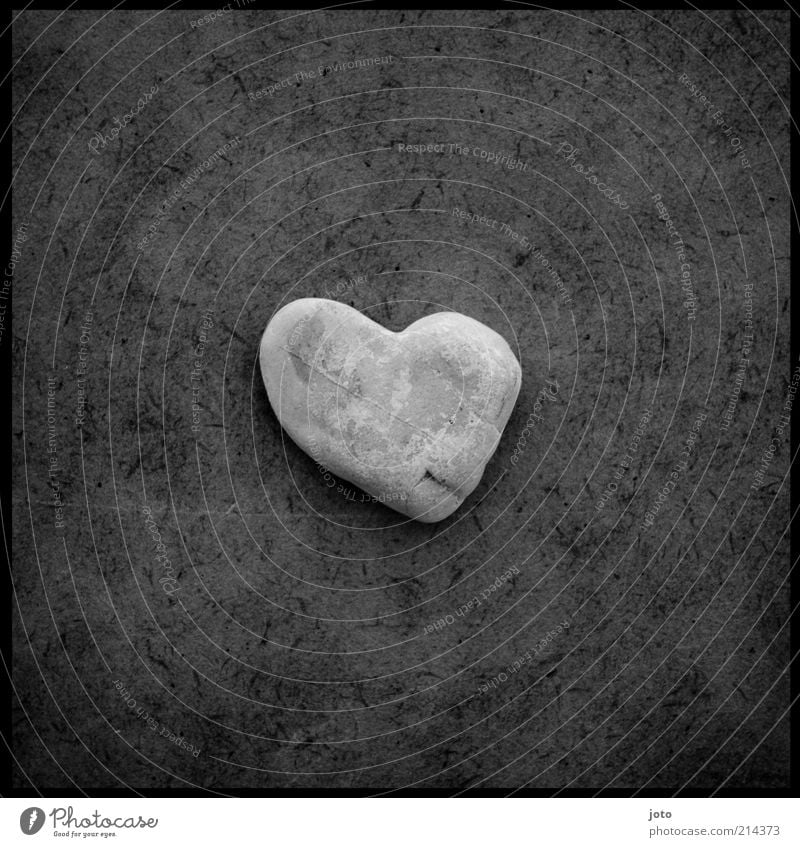 for you Stone Heart Happy Esthetic Uniqueness Hope Love Calm Emotions Heart-shaped Gray Sincere Structures and shapes Lie Infatuation Blemish Loyalty Trust