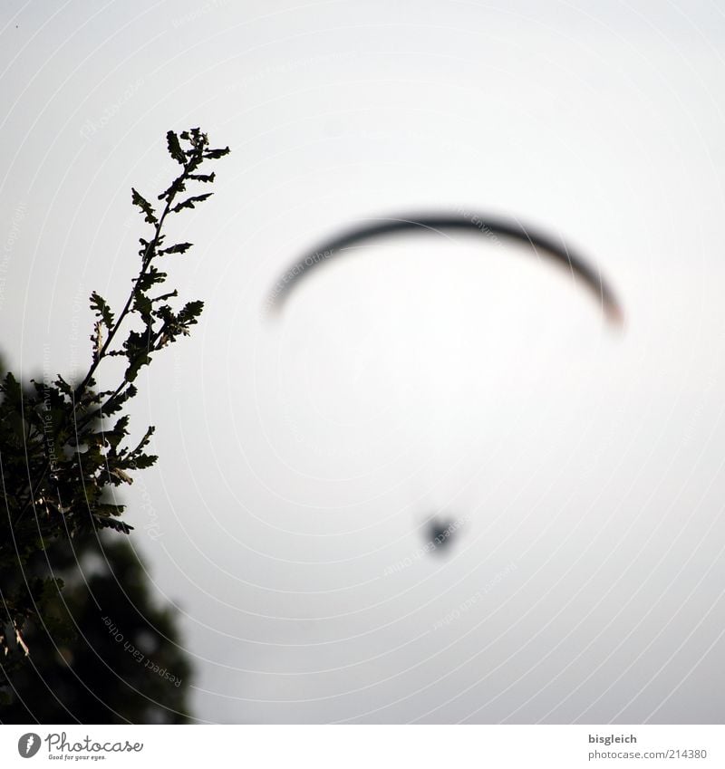 flying away Paragliding 1 Human being Sky Bushes Flying Free Gray Longing Freedom Uniqueness Trust Colour photo Subdued colour Exterior shot Evening Grass