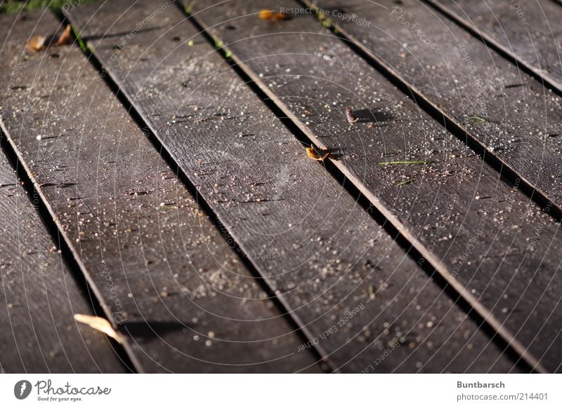 pile dust Floorboards Wooden floor Dirty Dust Sand Dusty Seam Ground Subdued colour Exterior shot Evening Night Artificial light Light Contrast Deserted Shadow