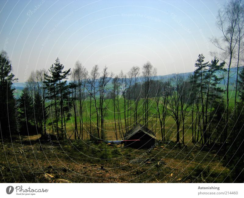 the woodcutter's hut Environment Nature Landscape Sky Cloudless sky Horizon Summer Weather Beautiful weather Warmth Plant Tree Bushes Leaf Foliage plant