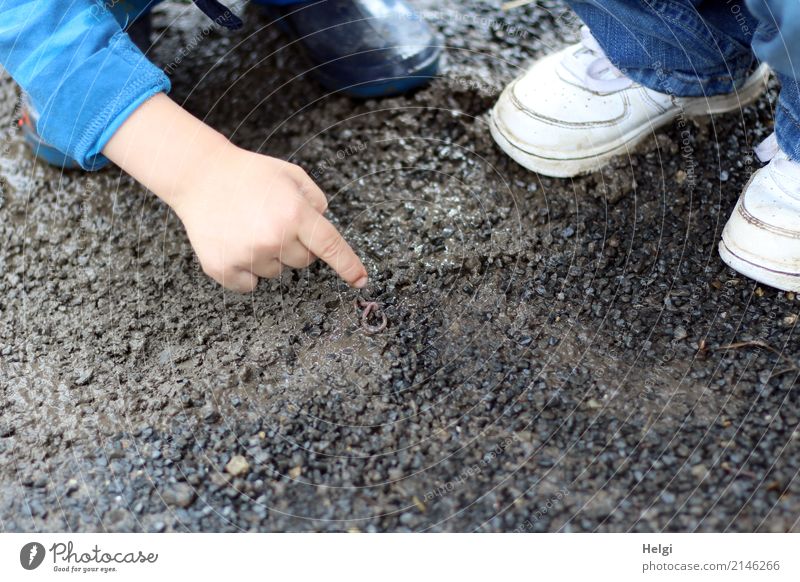 see...? there ... | close-up, child's hand pointing to a worm on the street Human being Masculine Feminine Toddler Infancy Hand Fingers Feet 2 3 - 8 years Child