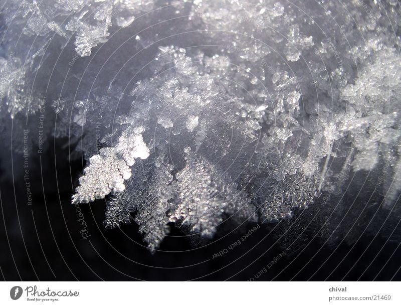 ice crystals Winter Cold Hoar frost Freeze Frozen Ice Snow Crystal structure Frost Sun