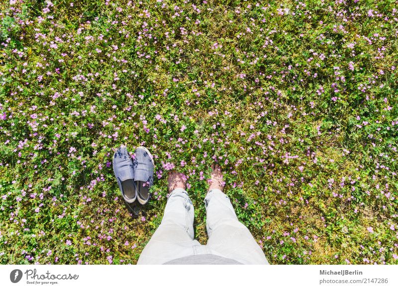 Man standing barefoot in flower meadow Human being Masculine Adults Feet 1 30 - 45 years Nature Spring Flower Grass Stand Green Pink Happy Berlin Germany