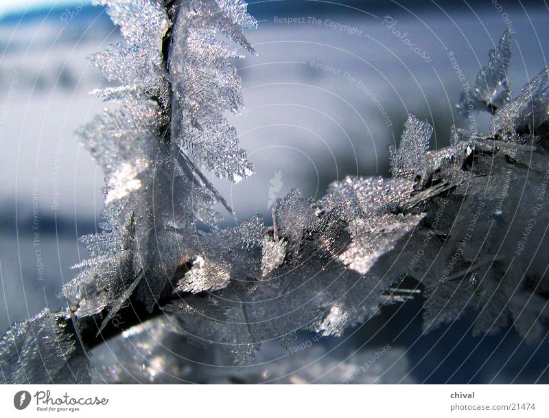 ice needles Cold Winter Frozen Freeze Crystal structure Maturing time Hoar frost Snow Ice sublimation Growth